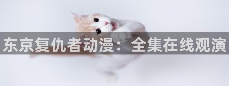 里番动漫在线观看：东京复仇者动漫：全集在线观演配图