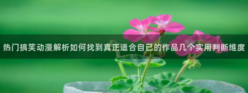 母系里番动漫在线观看：热门搞笑动漫解析如何找到真正适合自己的作品几个实用判断维度配图