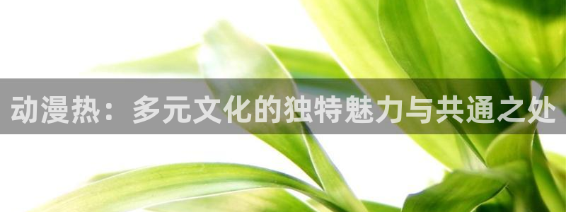 游戏里番动漫在线观看：动漫热：多元文化的独特魅力与共通之处配图