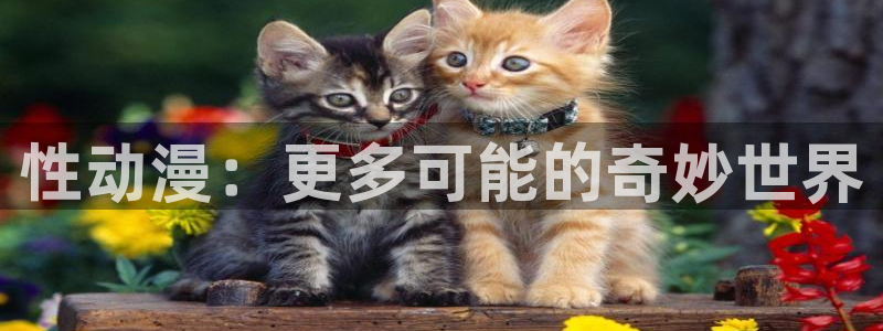 各种里番动漫在线观看：性动漫：更多可能的奇妙世界配图