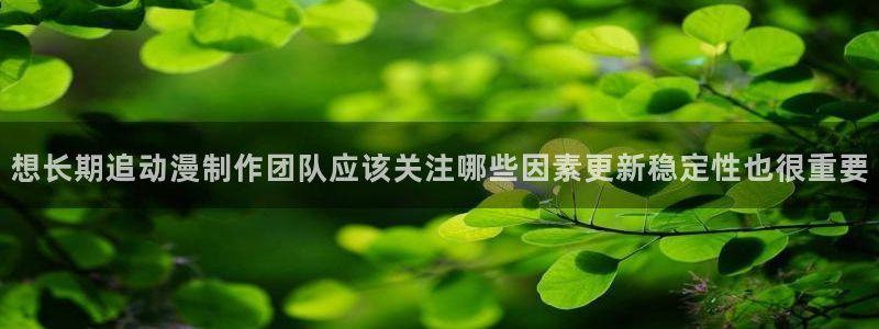 中国里番动漫在线观看：想长期追动漫制作团队应该关注哪些因素更新稳定性也很重要配图