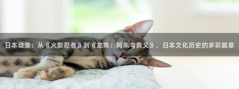 动漫里番资源在线观看：日本动漫：从《火影忍者》到《龙珠：阿朱与奥义》，日本文化历史的多彩篇章配图