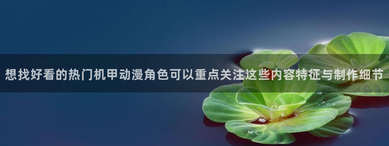 里番肉番动漫在线观看:想找好看的热门机甲动漫角色可以重点关注这些内容特征与制作细节配图