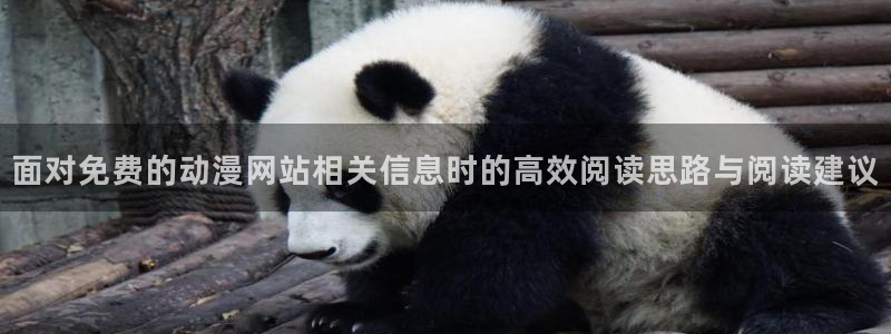 里番手机动漫在线观看:面对免费的动漫网站相关信息时的高效阅读思路与阅读建议配图